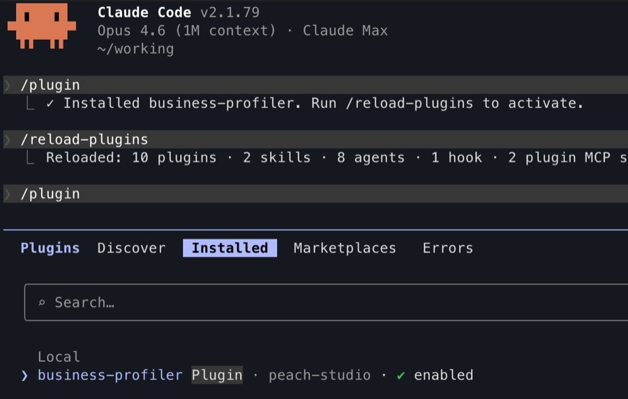 Business Profiler installed in Claude Code CLI